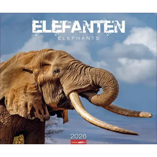 Elefanten - Kalender 2026 - Weingarten-Verlag - Fotokalender - Wandkalender mit beeindruckenden Fotos von Elefanten - 55 cm x 46 cm