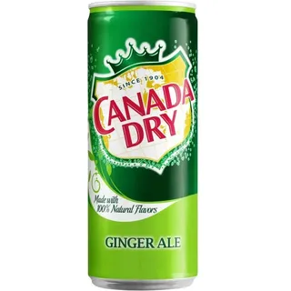 Canada Dry - Ginger Ale - 72 x 0,33L Dosen - PL