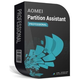 AOMEI Partition Assistant Professional 1 PC Windows 1 Jahr Download