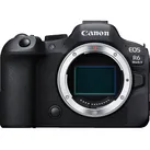 EOS R6 Mark II Body