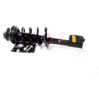 gh Federbein Komplett Federbein