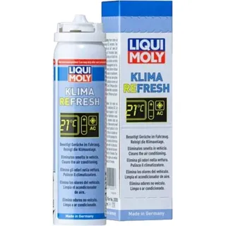 LIQUI MOLY Klimaanlagenreiniger 75 ml