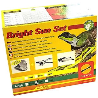Lucky Reptile Bright Sun Set Jungle