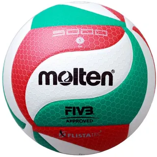 Molten Volleyball