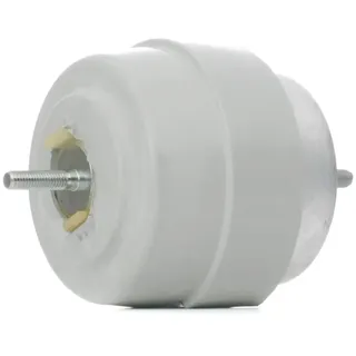 Meyle Lagerung, Motor 100 199 0189