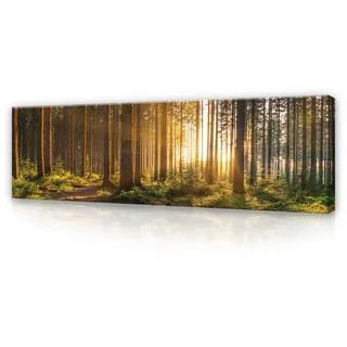 WallArena - Leinwand Bilder - Wald Grün Natur Landschaft - 145x45 cm Leinwandbilder - Bild auf leinwand - Wandbild XXL groß Wandbilder für Wohnzimmer Schlafzimmer Wohnzimmerbilder Modern