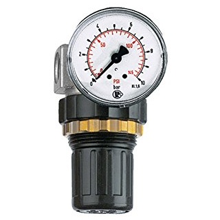 Riegler Druckregler »Standard-mini«, Schalttafelmutter, G 1/4, 0,5-10 bar