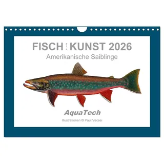 Calvendo Fisch als Kunst 2026: Amerikanische Saiblinge (Wandkalender 2026 DIN A4 quer), CALVENDO Monatskalender: Mit 13 wissenschaftlichen Farbillustrationen (CALVENDO Tiere)