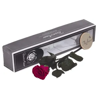 The Flower Rooms FRFRCER Forever Rose Cerise Pink