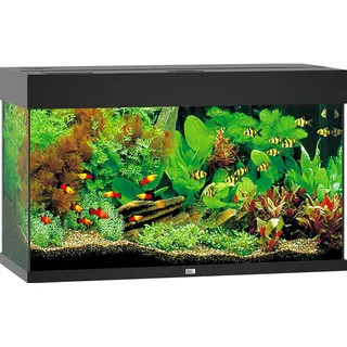 JUWEL AQUARIUM JUWEL Rio 125 LED schwarz