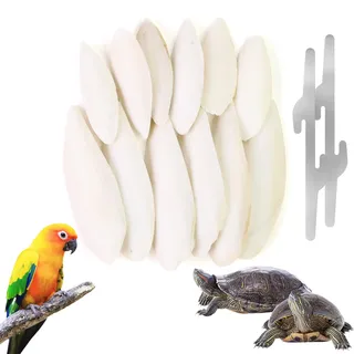 12 Stück Sepiaschalen für Schildkröten,7-9 cm/11-13 cm Sepiaschale für Vögel,Geeignet für Schildkröten mit 2 Metallklammern Epiaschale für Vogelkäfige,Ergänzung von Kalzium und Mineralien