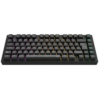 Dark Project ALU Terra Nostra – Mechanische Gaming-Tastatur ISO (DE) – Schwarz