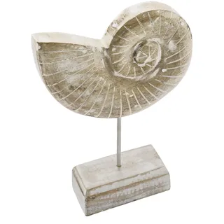 Aufsteller Mangoholz Ammonit Muschel Creme Weiß Gewischt ca.16cm H Maritime Deko