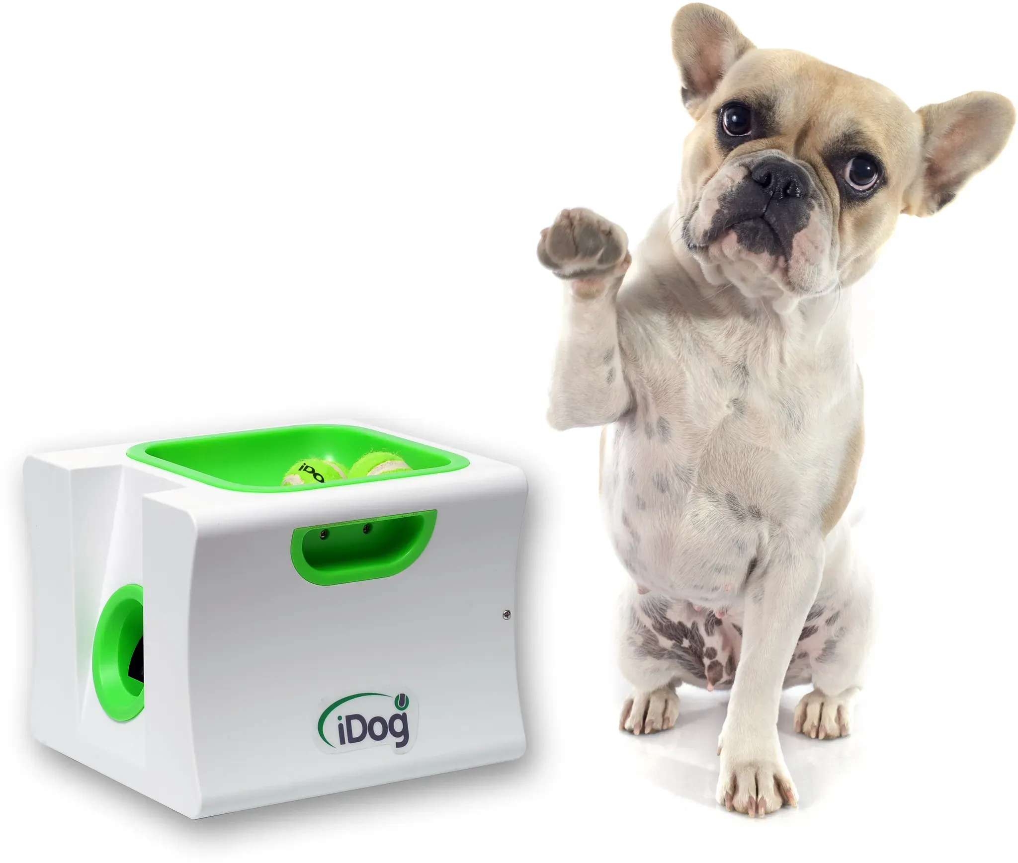 iDog mini -inkl. Fernbedienung- Ballwurfmaschine für Hunde -Apportiermaschine - Ballwurfautomat