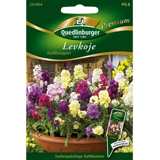 Quedlinburger Levkojen Duftbouquet Loses Saatgut