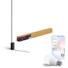 Hue Gradient Signe Stehleuchte (Schwarz) + Hue Essential A60 E27