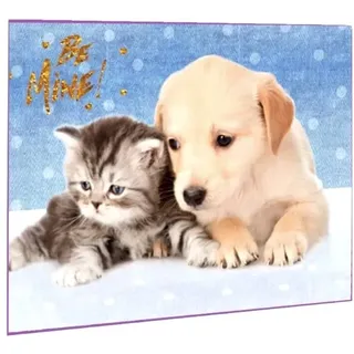 Katze Hund Cat Dog SCHREIBTISCHUNTERLAGE 60 x 40 cm UNTERLAGE TISCHUNTERLAGE + Sticker von kids4shop