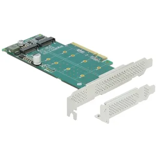 DeLock PCI Express x8 Card to 2 x NVMe M.2 Key M - Bifurcation -