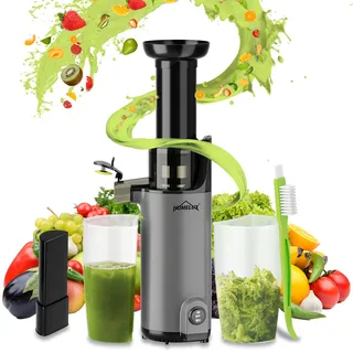HOMELUX 120W kleiner Slow Juicer Entsafter für Obst und Gemüse