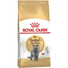 Adult British Shorthair 4 kg