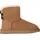 chestnut 42
