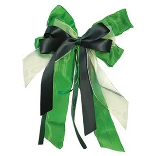 NESTLER Geschenkschleife klein grün 17x31cm