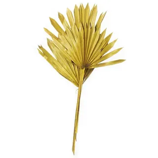 Flowerbox Trockenblumen »Palmsun« - gelb