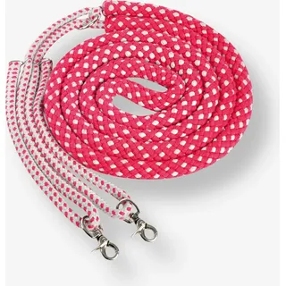 Waldhausen Longierhilfe