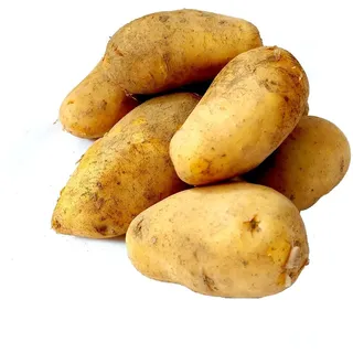 Kartoffel Sieglinde festkochende Speisekartoffeln 1-25 KG Ernte 2025