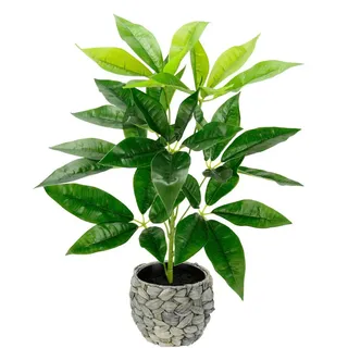 I.GE.A. I.GE.A Kunstpflanze Schefflera im Wasserhyazinthentopf, ca. H48 cm, Grün