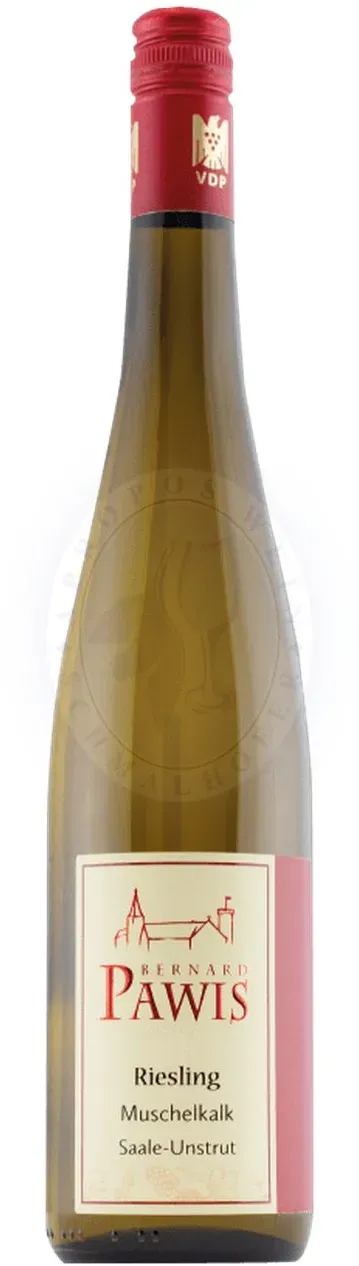 Muschelkalk Riesling 2023 Pawis 0,75l