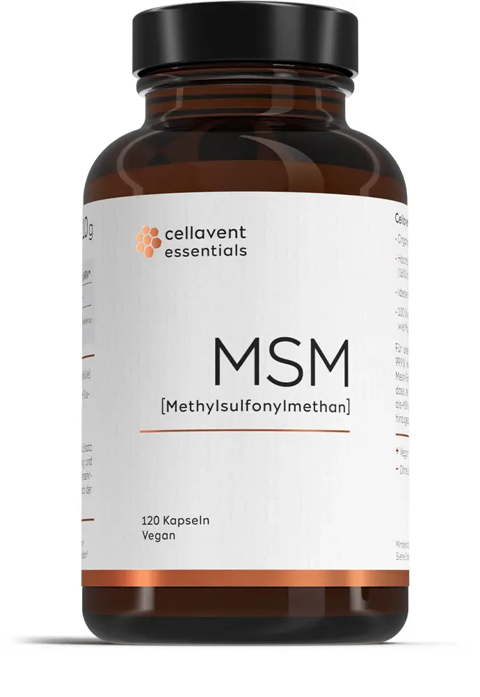 MSM Kapseln [Methylsulfonylmethan] 120 Stk.