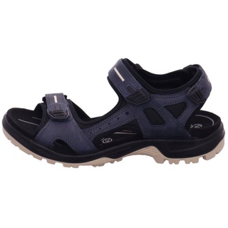 blau 41