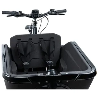 Cube Sicherheitsgurt CARGO black