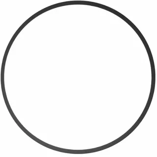 ikelite Gehäuse O-Ring 0132.59
