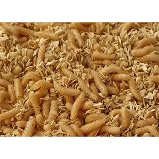 Pinky Maden 1x 30g in der Dose SAHAWA Angelköder Vogelfutter Reptilien