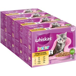 Whiskas Junior Geflügel Auswahl in Gelee 96 x 85 g