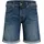 Jjirick JJFOX Shorts CB 310 Sn