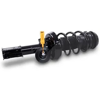 gh Federbein Komplett Federbein