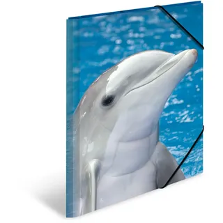 A3 delfin
