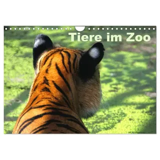 Calvendo Tiere im Zoo (Wandkalender 2026 DIN A4 quer), CALVENDO Monatskalender
