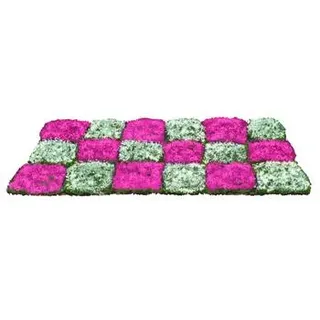 Stauden-Set Duftender Thymian, 18-teilig, Pink, Weiß