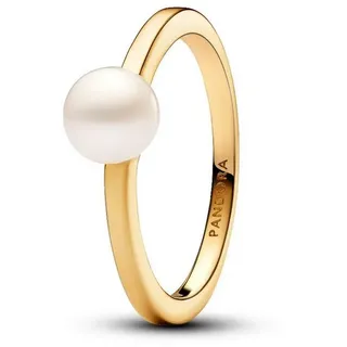 Pandora Damenring Pandora Timeless 163157C01-58 - gold - 58