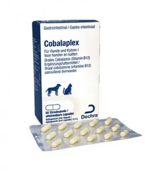Cobalaplex 60 Kapseln