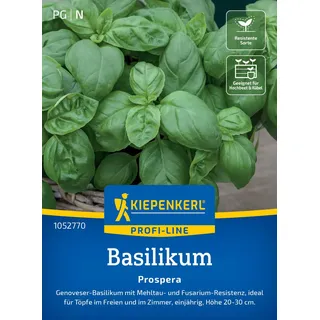 Kiepenkerl Saatgut Basilikum Prospera,