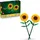 Sonnenblumen 40524