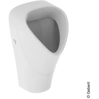 Geberit Renova Urinal trigonal, Zulauf hinten, Abgang nach hinten, Farbe: weiß