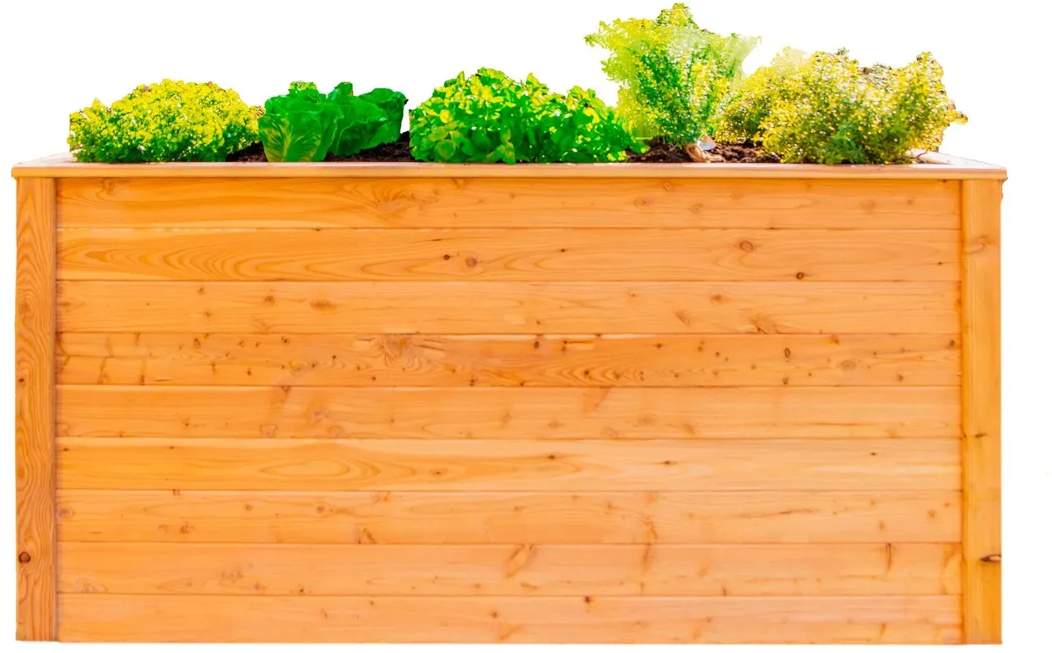 WESTMANN Hochbeet aus L&auml;rchenholz | 170x90x84 cm Natur | Holzhochbeet zum bepflanzen von Gem&uuml;se & Kr&auml;utern