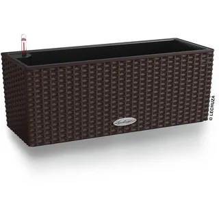 50 Komplettset 50 x 19 x 19 cm mokka