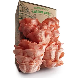 Bio-Pilz-Set | Pilzanbau-Set | 100% biologisch | ohne Gentechnik | ganzjähriger Anbau | Innenbereich Pilze | tägliches Besprühen | schnelle Ernte | einfach zu züchten | Geschenk für Feinschmecker